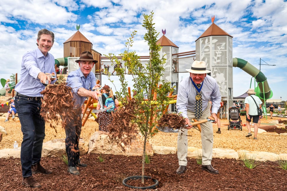 Playground wonderland post image