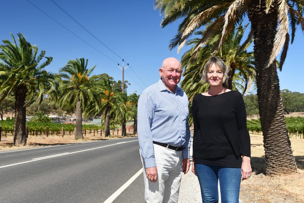 Keep palm and carry on: Light Regional Council seeks government commitments. post image