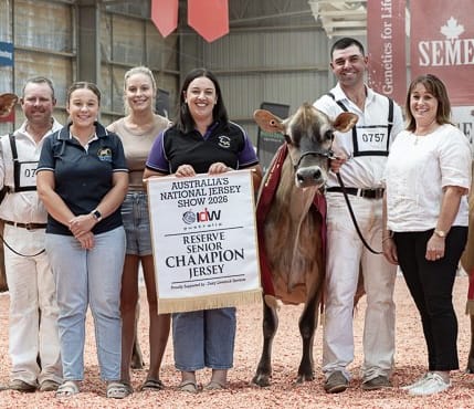Udder-ly thrilled: Koch Family’s continued dairy success post image