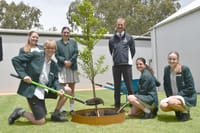 A message of growth and gratitude post image