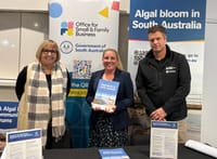 ALGAL BLOOM SUMMER PLAN: How to access business support post image