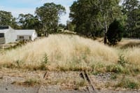 Maintenance underway for Barossa rail corridor post image