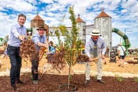 Playground wonderland post image