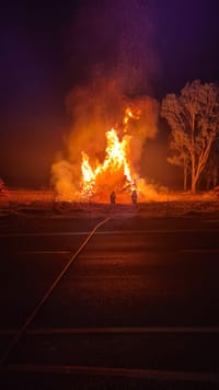 Pine on fire at Tanunda post image