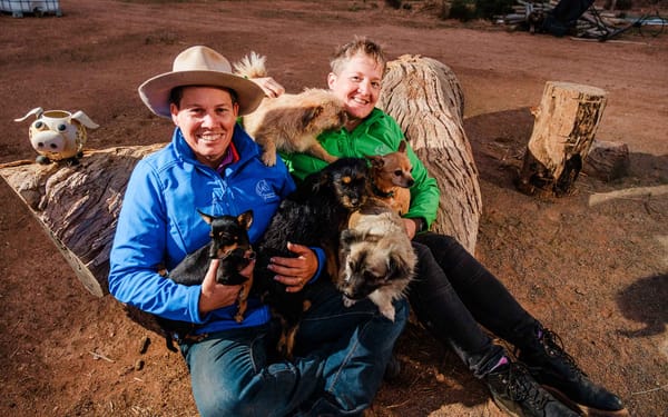 Call of the wild post image