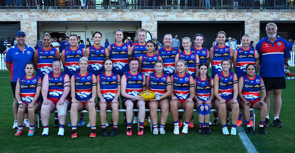 Dogs and Donnybrooks ready to do battle post image