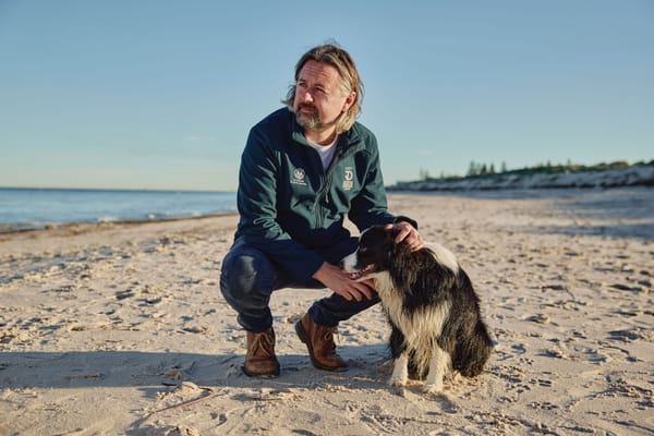 ALGAL BLOOM SUMMER PLAN: Tackling SA’s algal bloom post image