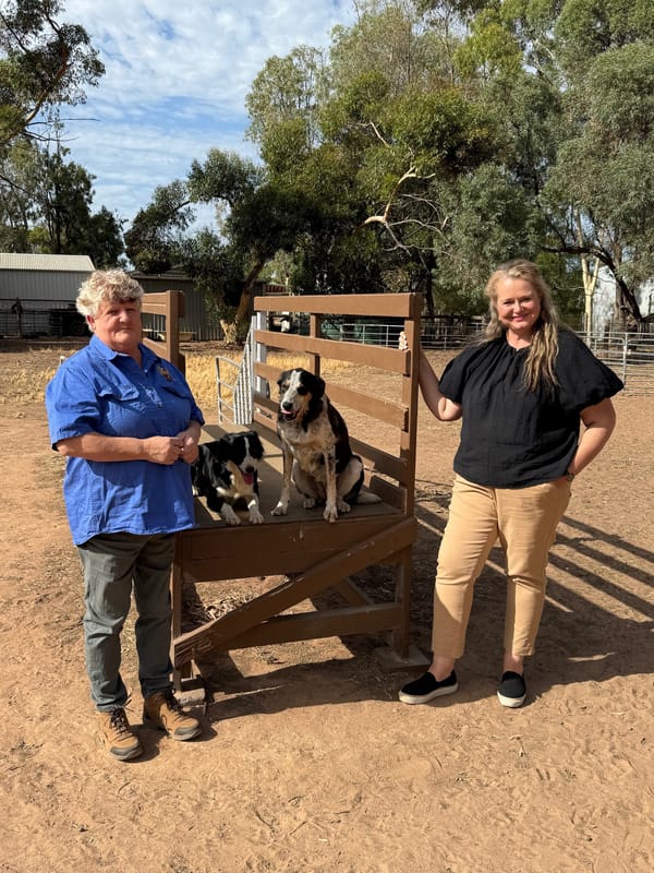 Dog breeders urged to consider proposed regulations post image