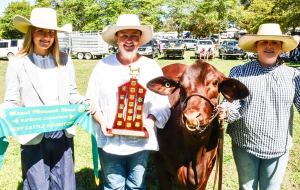 Mount Pleasant show post image