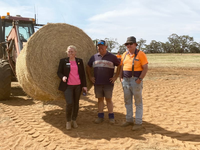 Hay runners roll into region post image