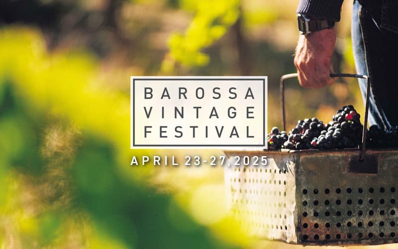 Introducing the 2025 Barossa Young Ambassadors post image