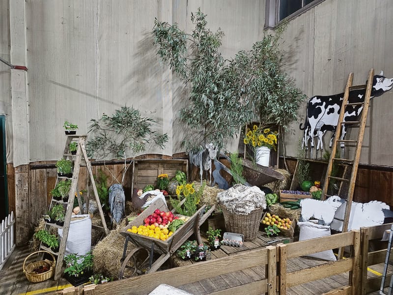 Eye catching display by the Angaston Agricultural Bureau post image