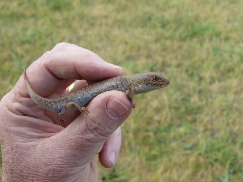 Groundbreaking research for the region post image