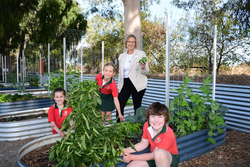 Education & Enrolments 2024/25: St Jakobi leads the way with personalised learning post image