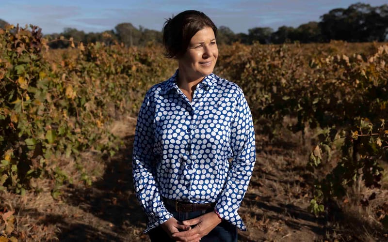 Ripening Innovation post image