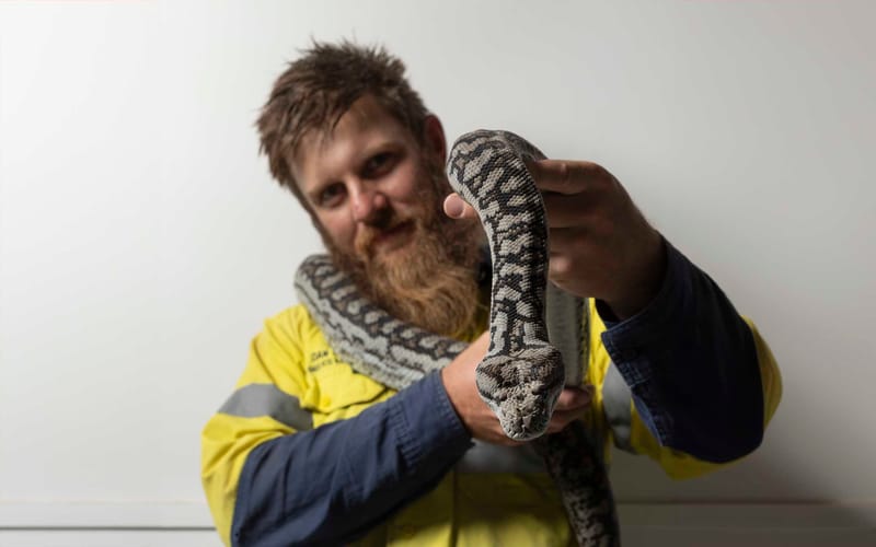 Cold blooded compassion post image