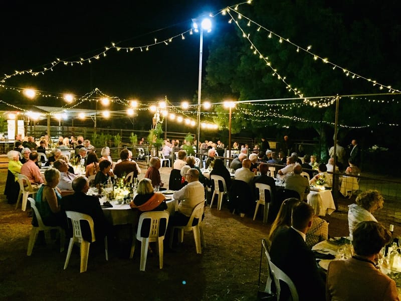 A spectacular night in the forest post image