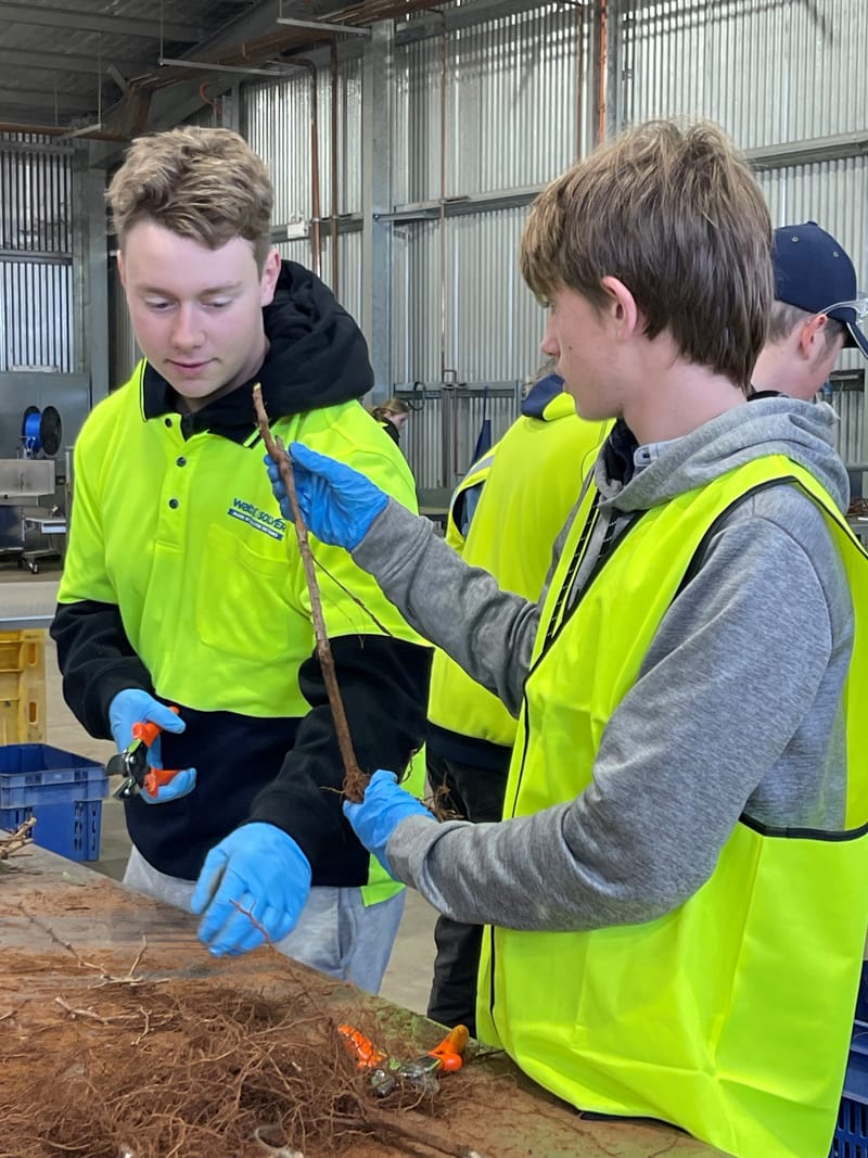 On the Land: Barossa viticulture apprenticeships training the future post image