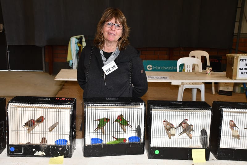 Birds of a feather post image