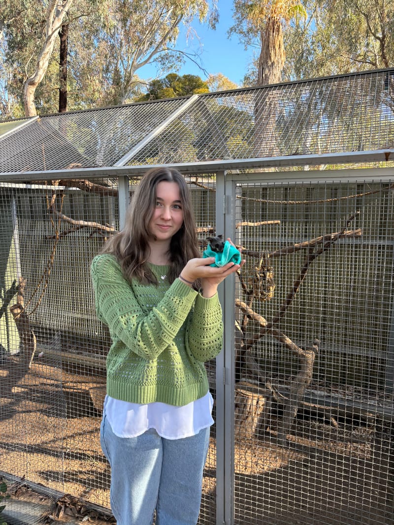 A Co-operative effort to help fund possum ‘palaces’ post image