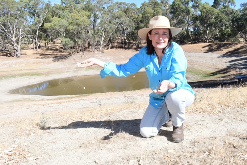 Drought relief post image