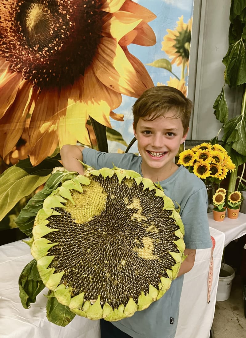 Tanunda Show competition heats up post image