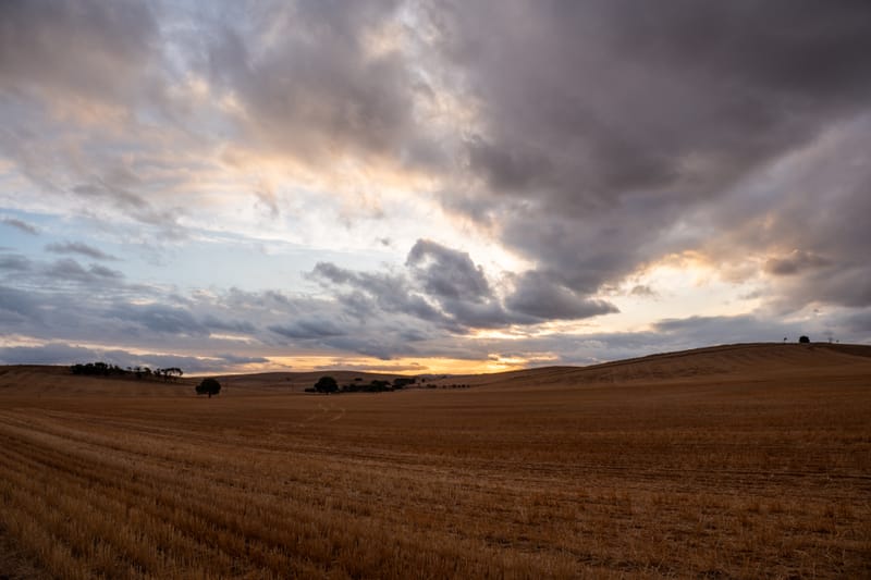 Resilience and perseverance make Eudunda post image