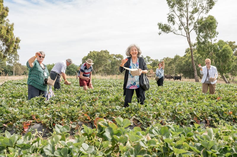 Embracing Social Connection post image