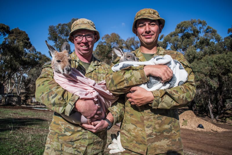 Kangaroo Sanctuary becomes a roo-ality post image