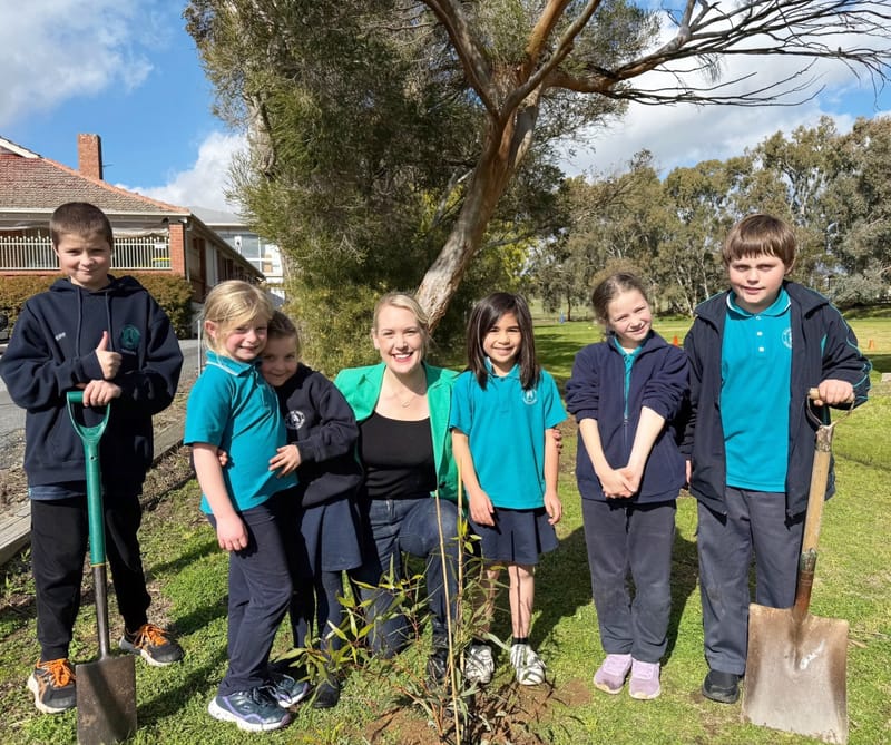 Mount Pleasant students celebrate World Tree Day post image