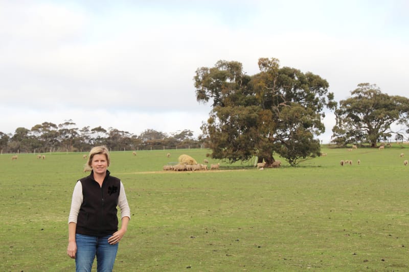 Livestock farmers strategise amidst tough season post image