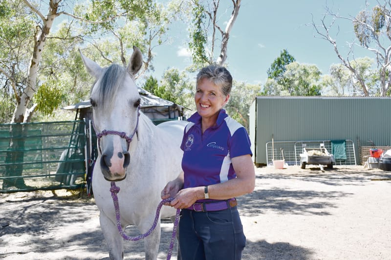 The soothing balm of equine interaction post image