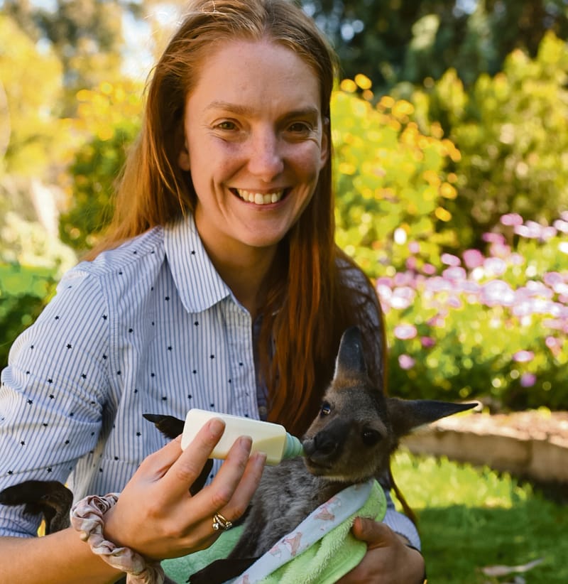 Jump in roo numbers post image