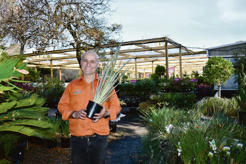 Retirement rings for Vadoulis post image