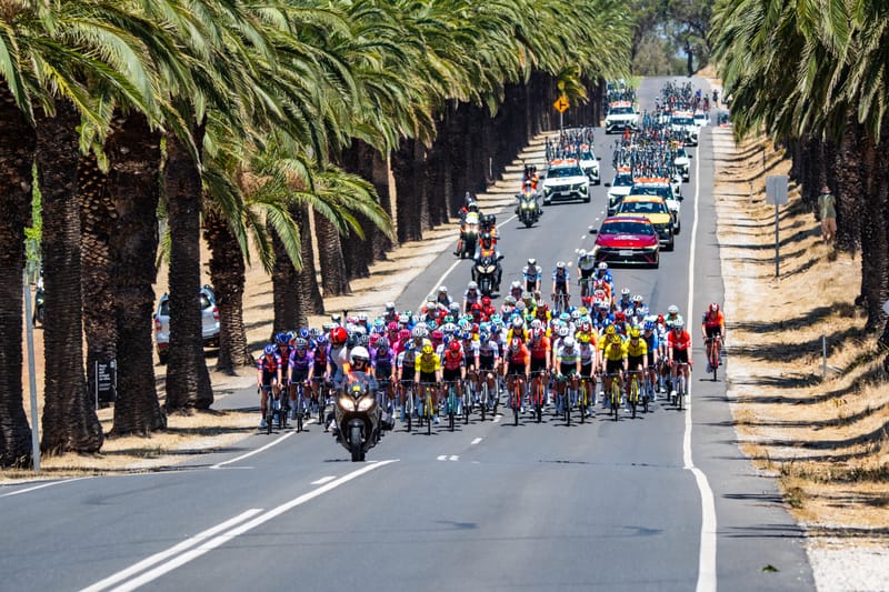 A showcase of world class cycling in the Barossa post image