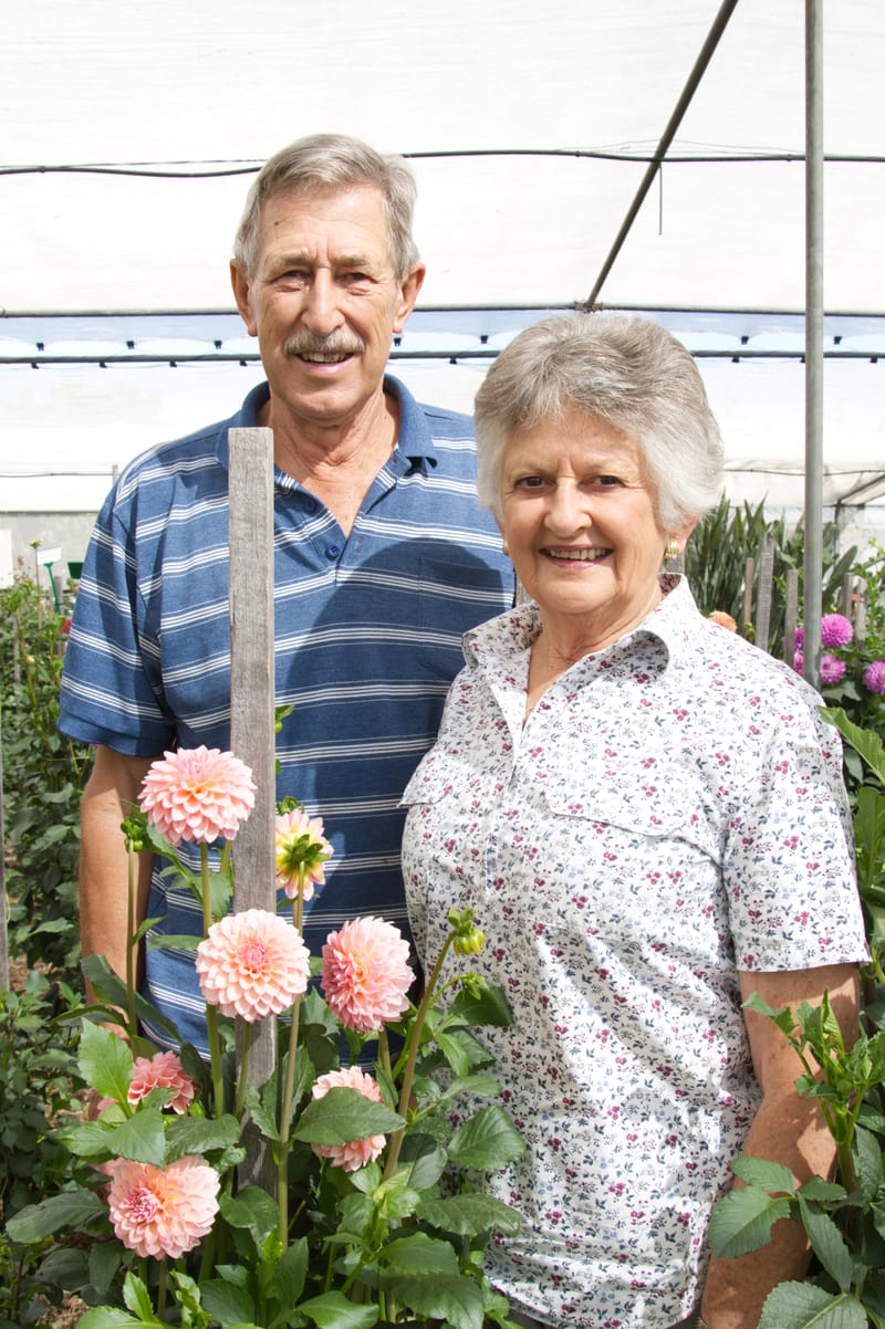 Tanunda Show: Beautiful blooms on show post image