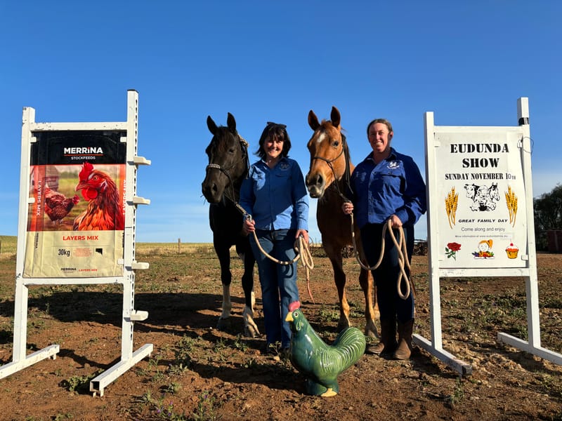 Variety on show at Horses in Action post image