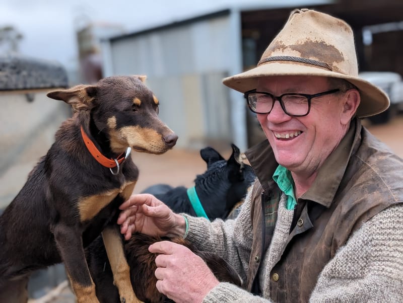 Some hope in fields of green post image