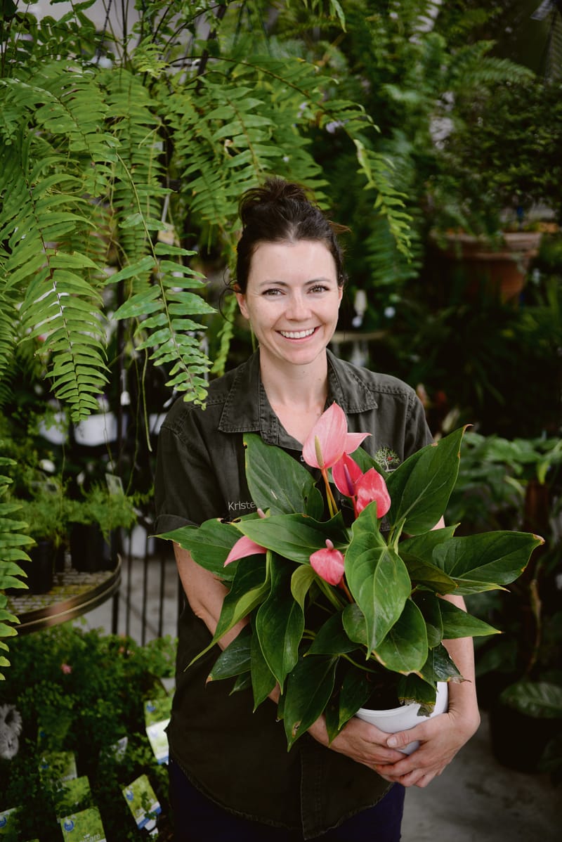 Autumn Home Ideas 2024 - Gardening in March post image