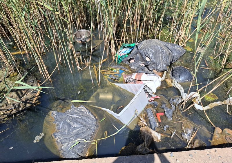 Concerns over impact of illegal dumping post image