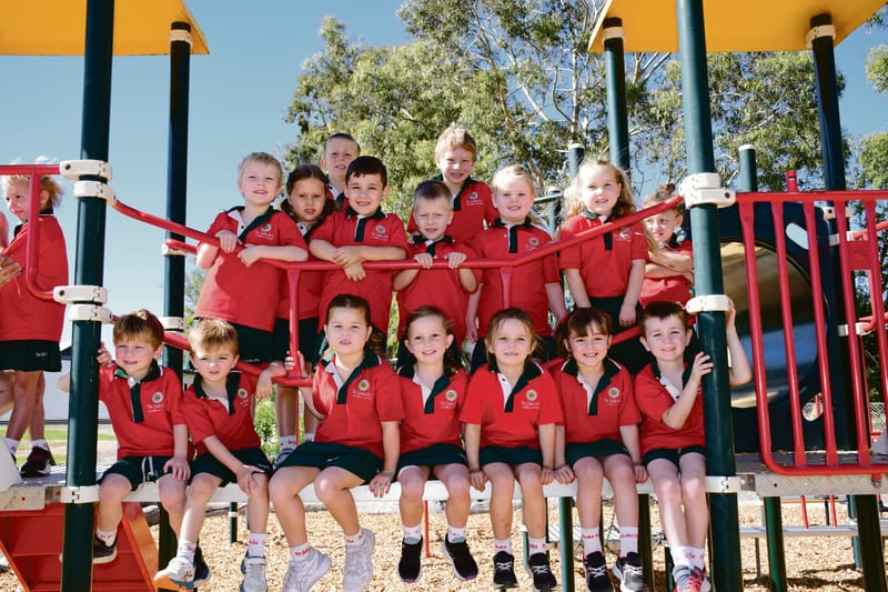 Who's new at school? post image