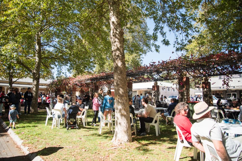 Angaston Town Day post image