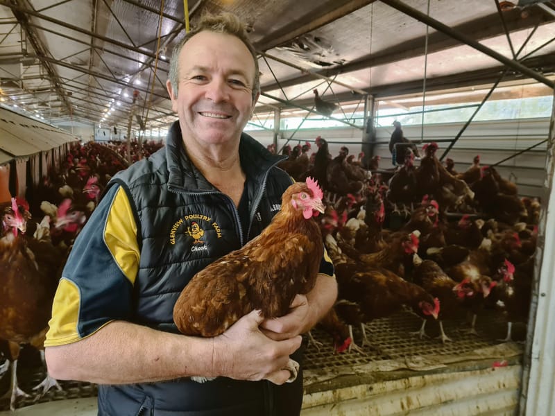 Local producers under pressure as Avian Flu spreads interstate post image