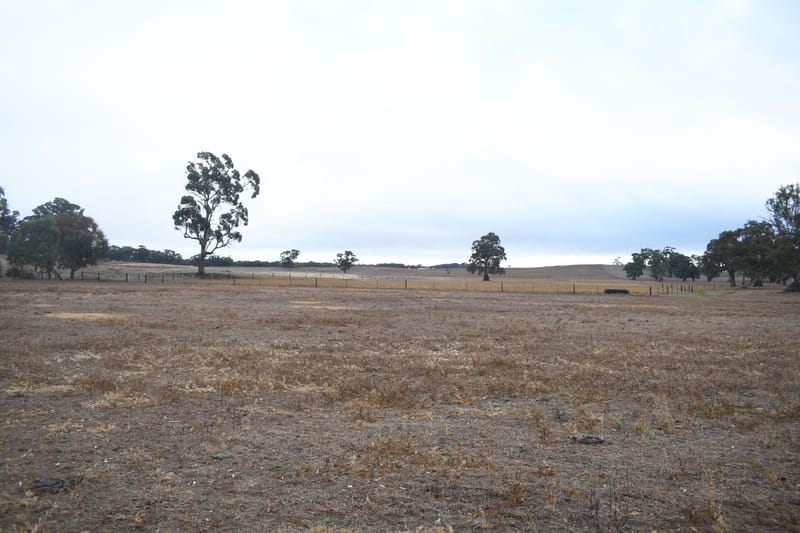 Housing boom for Keyneton considered as DA lodged post image