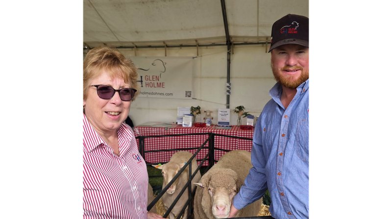 SA ram tops Australian Merino Index post image