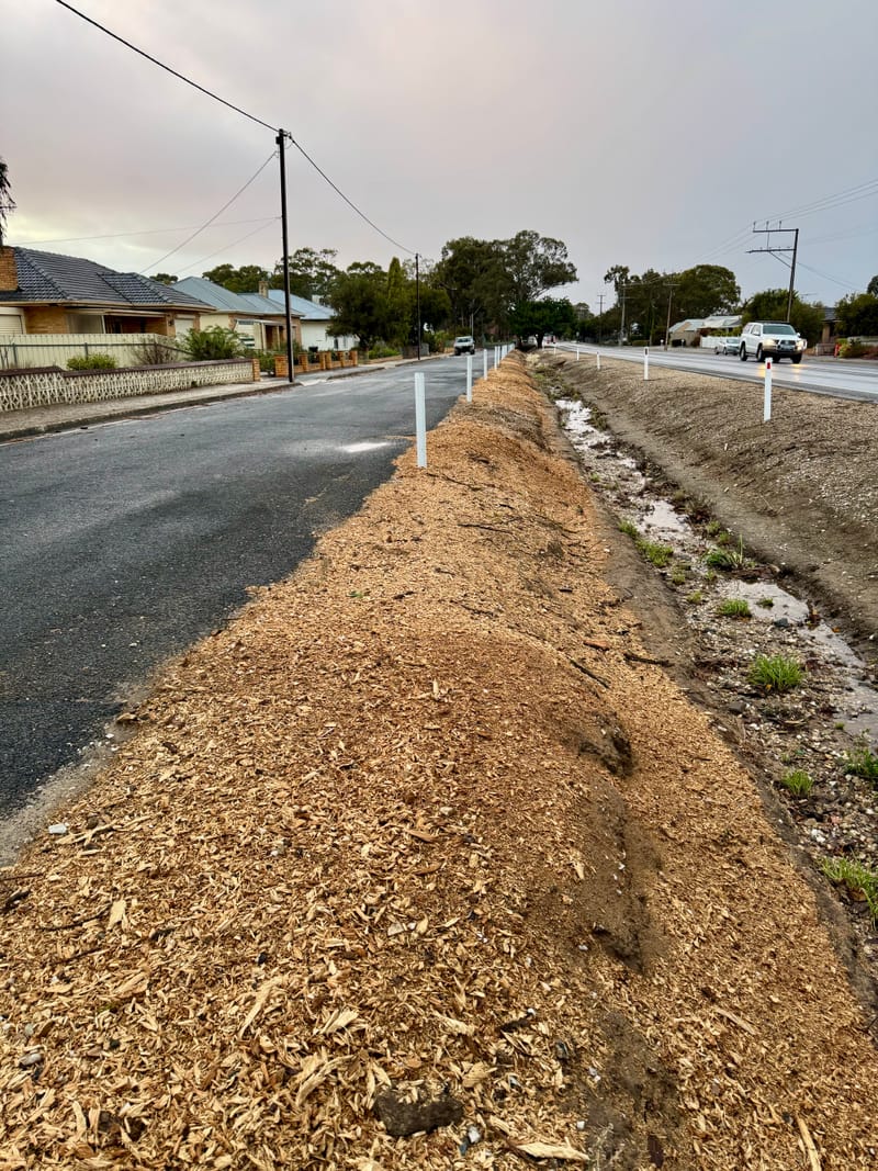 Declining trees removed at Nuriootpa post image