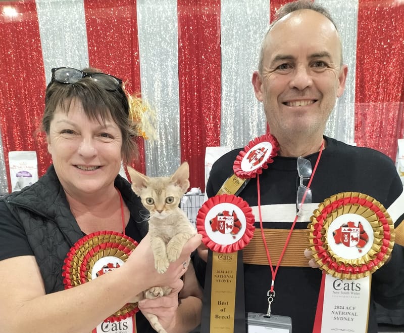 Meow you’re talking! post image