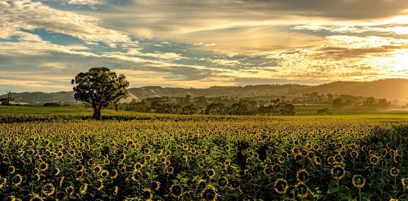 Calling all photographers post image