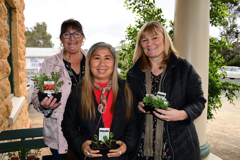 Garden recovery after flood workshop post image