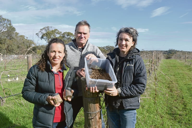 Grant creates a buzz over fly frass post image